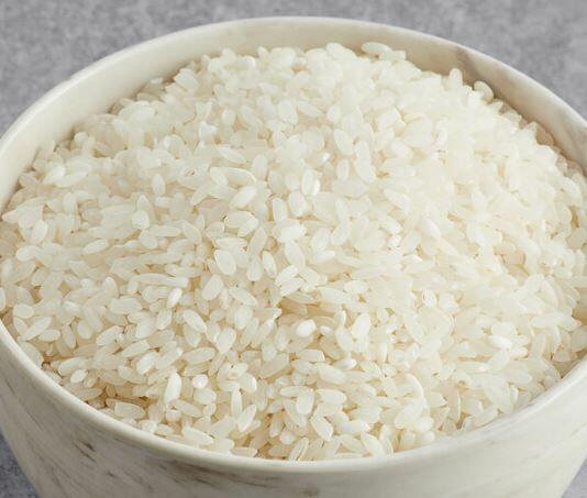Rice